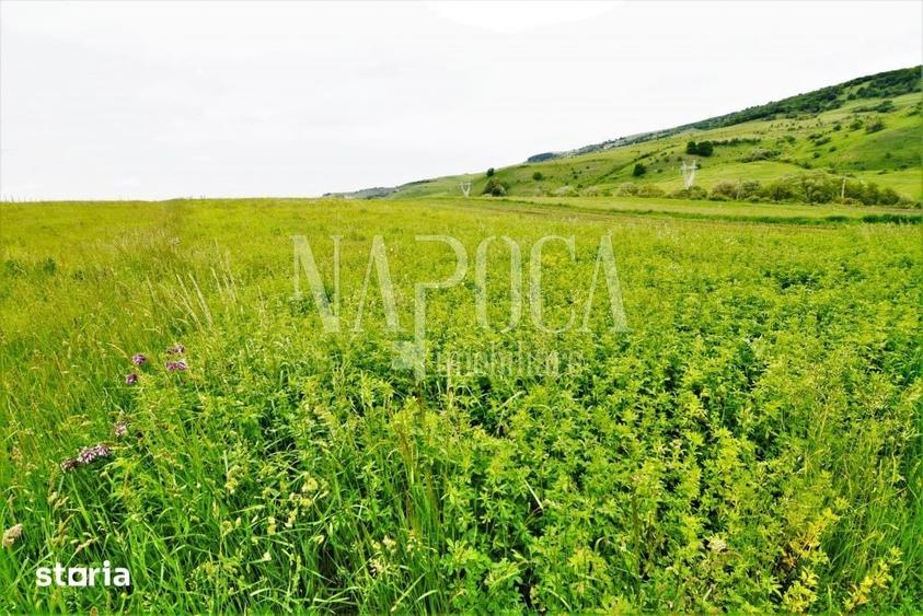 Teren de 5800 mp, în Baciu