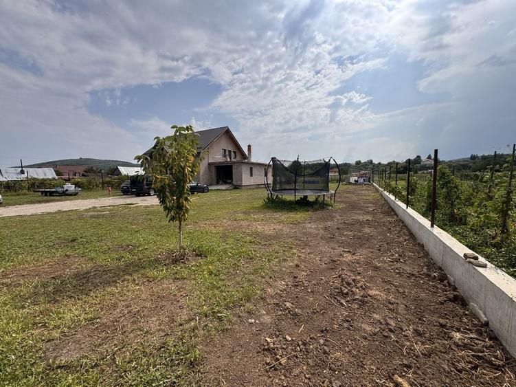 Casă cu 3 camere în Blăgești