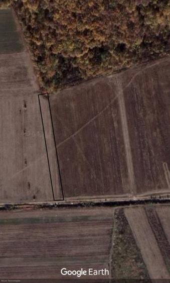 Teren agricol extravilan de 5000 mp, în Săbăreni