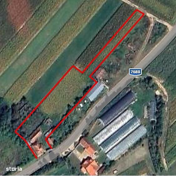 Casă cu 4 camere cu Teren 4122 Mp în Petid