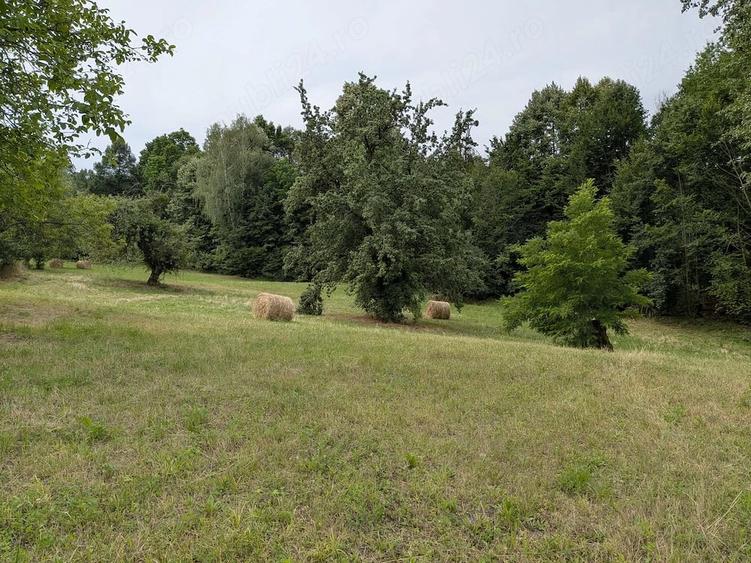 Teren de 20 mp, în Cărbunari