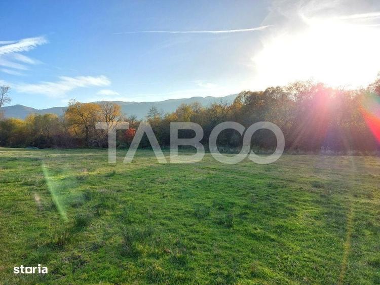 Teren de vanzare 17.000 mp in vecinatatea padurii Dumbrava - 2