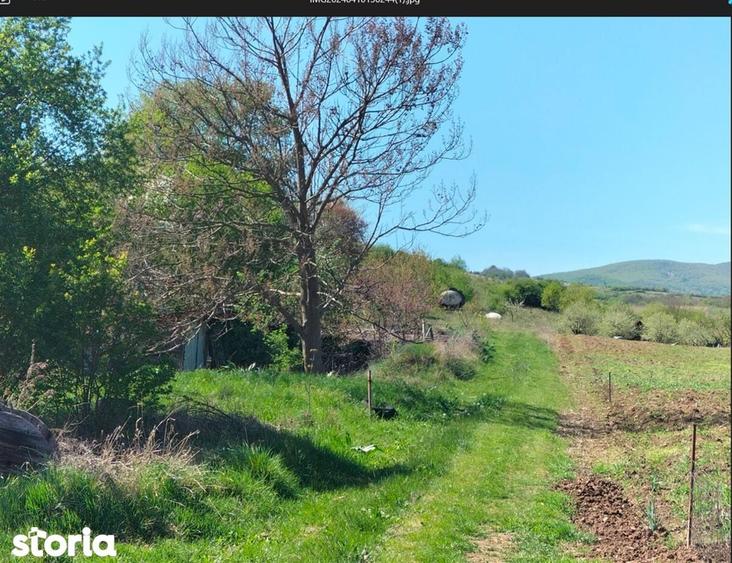 Parcele teren Paclisa, Jud. Arad - 2