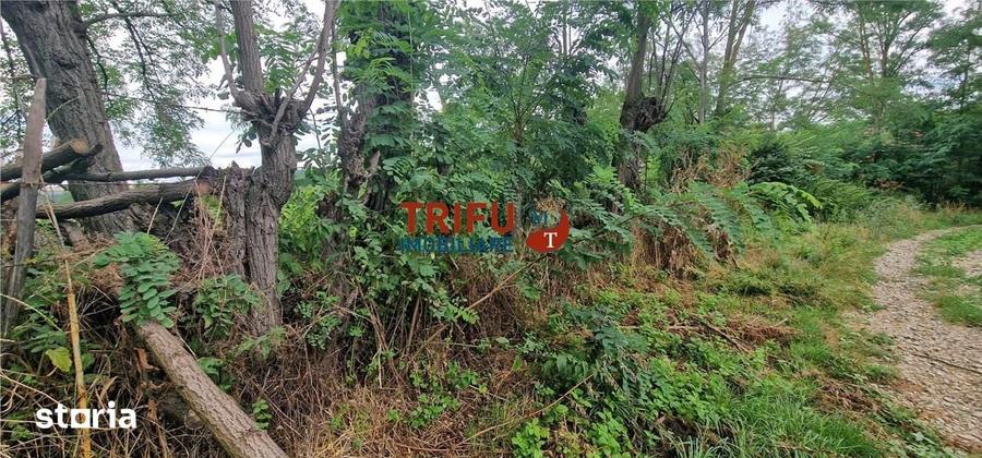Teren de 1300 mp, în Straja
