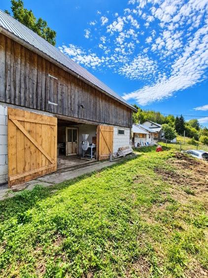 Vand proprietate cu teren Sohodol Alba - 5