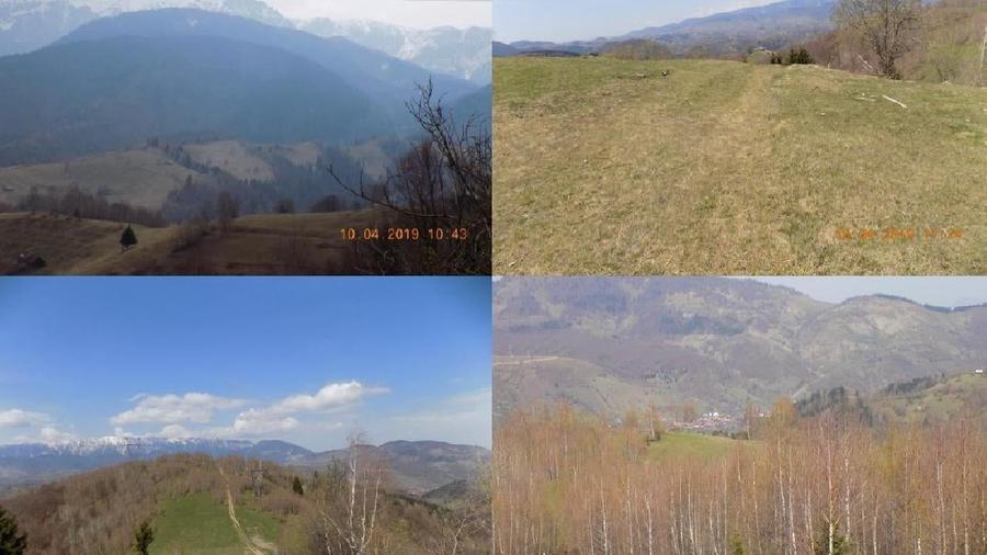 Teren extravilan de 48956 mp, în Bran