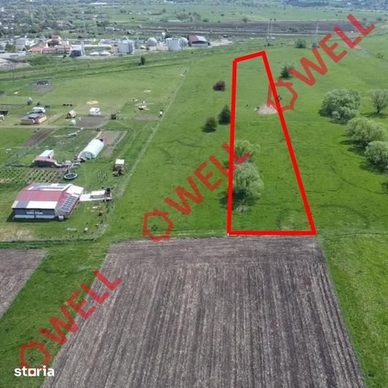 Teren de 7800 mp, în Central