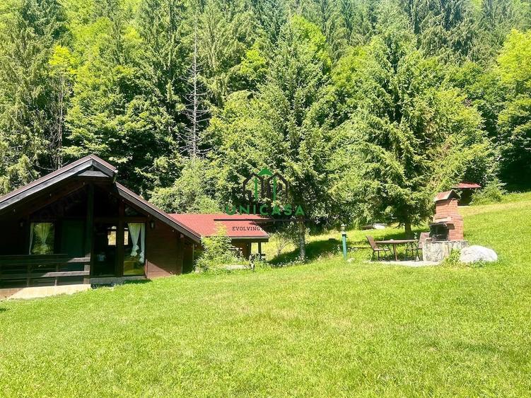 Casă cu Teren 2560 Mp în Voineșița
