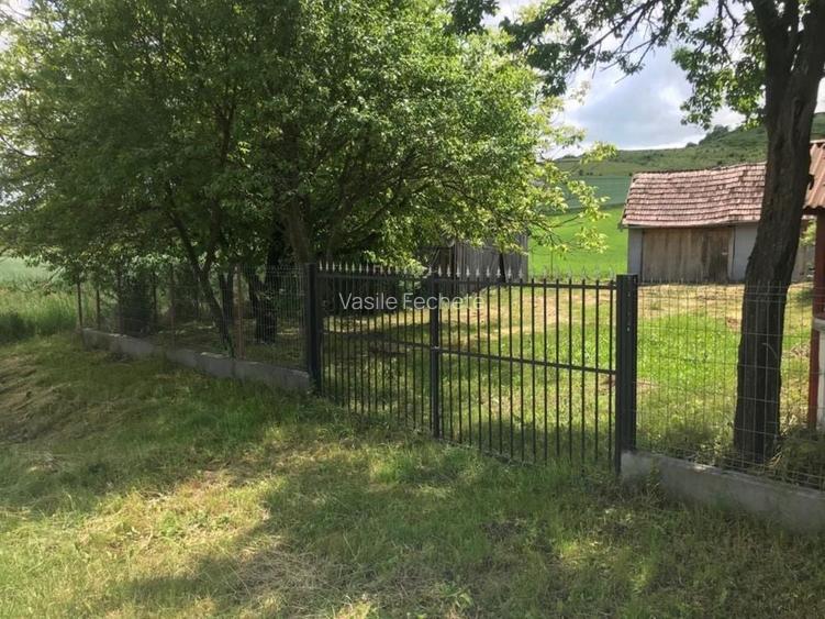Vand casa in Borsa Cluj