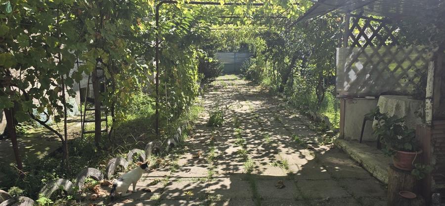 Casă cu 4 camere în Sărata
