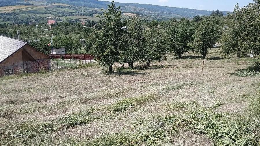 Teren de 880 mp, în Chicerea