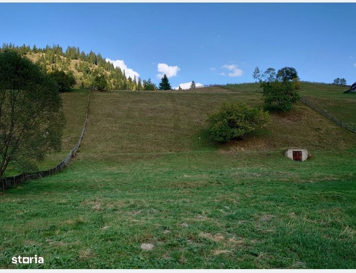 Teren de 1724 mp, în Ortoaia