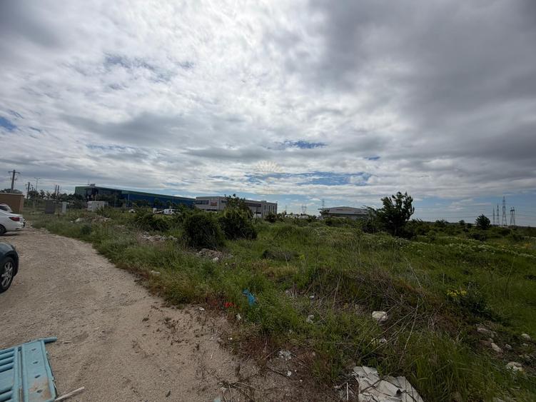 Teren Construcții intravilan de 9000 mp, în Manolache