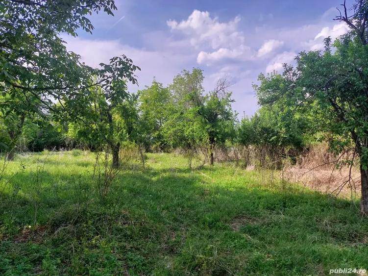 Teren de 7400 mp, în Fierbinți-Târg