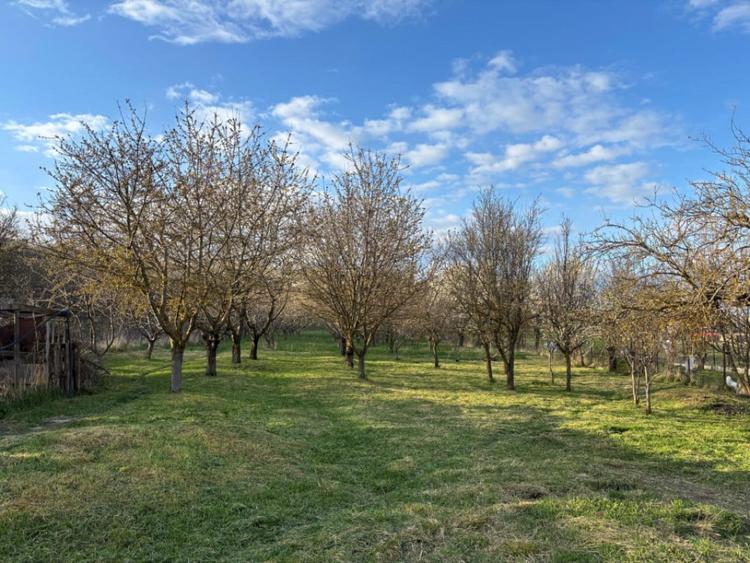 Casă cu 5 camere cu Teren 4000 Mp în Comșești