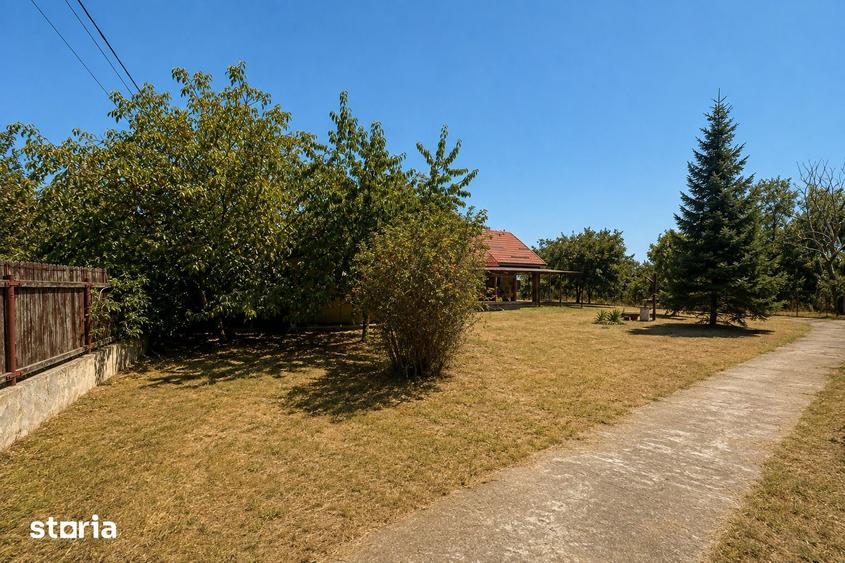 Casa Letca Noua la 40 minute de Bucuresti - 13