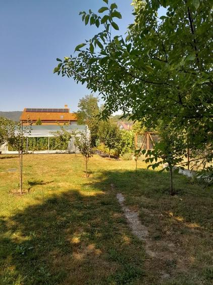 Teren de 1000 mp, în Sadu