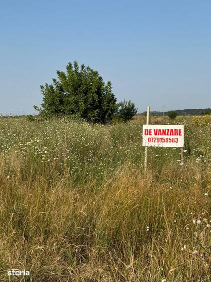 Teren de 400 mp, în 1 Decembrie
