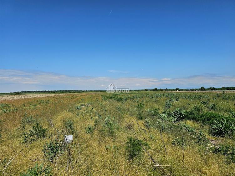 Teren agricol extravilan de 10900 mp, în Băleni-Sârbi