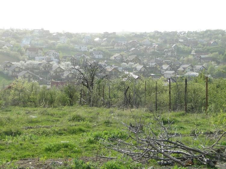 Teren intravilan , Bucium Barnova - 5