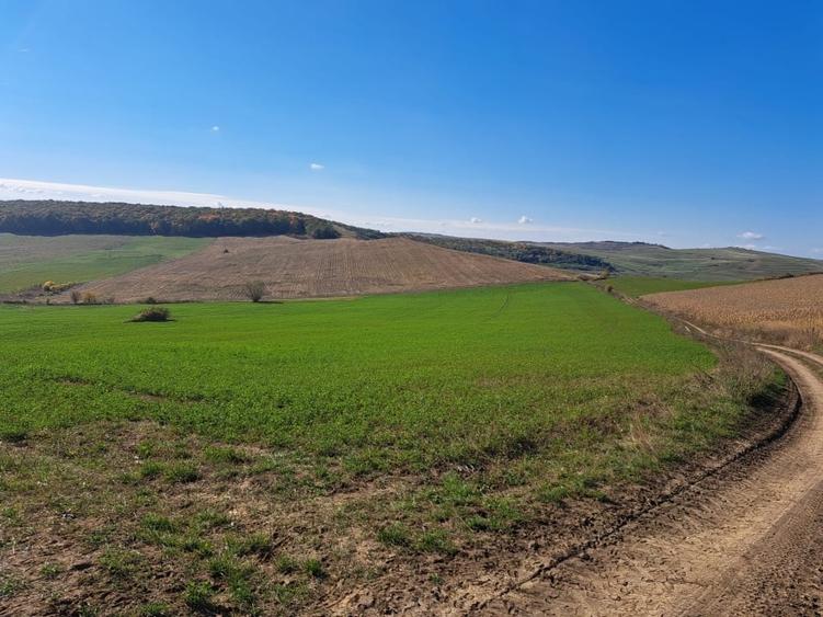 Teren agricol extravilan de 270000 mp, în Visuia