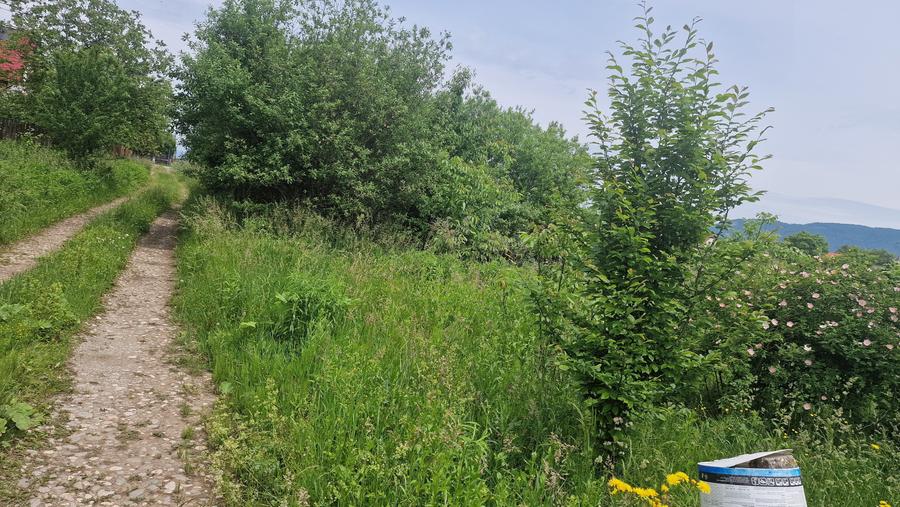 Teren intravilan de 1073 mp, în Cristian