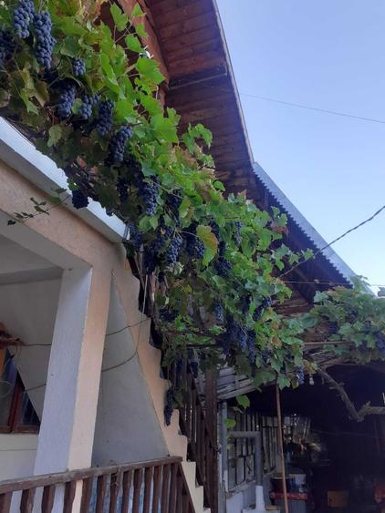 Casă cu 3 camere în Valea