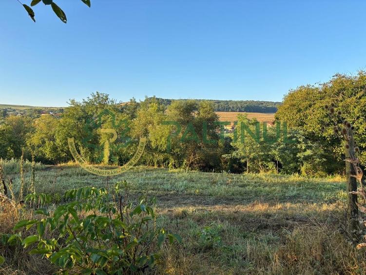 Teren agricol intravilan de 2617 mp, în Loamneș