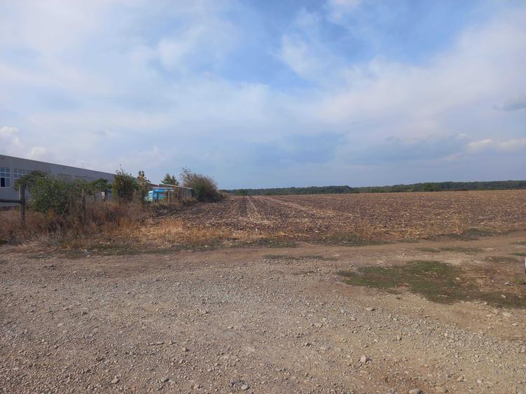 Teren de 10000 mp, în Dascălu
