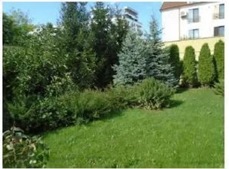 Teren de 645 mp, în Central