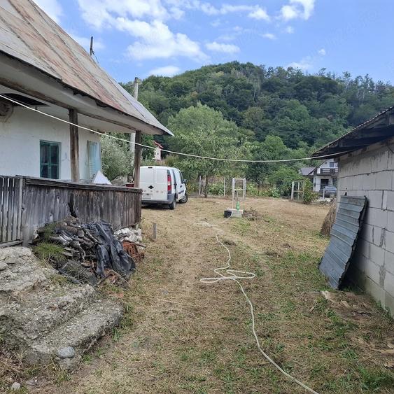 Teren de 7500 mp, în Cărpeniș