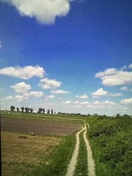Teren de 30000 mp, în Central