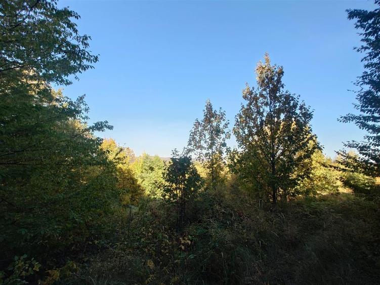 Teren extravilan de 36748 mp, în Căzănești
