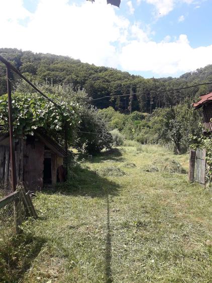 Casă cu 2 camere în Central