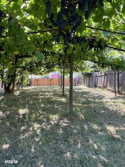 Casă cu 3 camere cu Teren 2700 Mp în Odobești