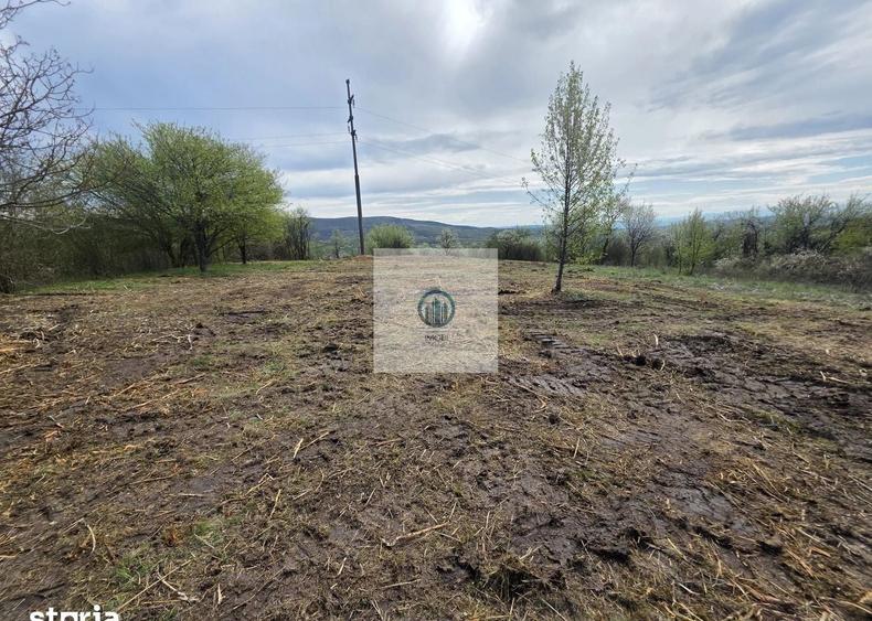 Teren agricol extravilan de 6704 mp, în Hărău