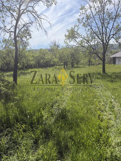 Teren Construcții intravilan de 2250 mp, în Drajna
