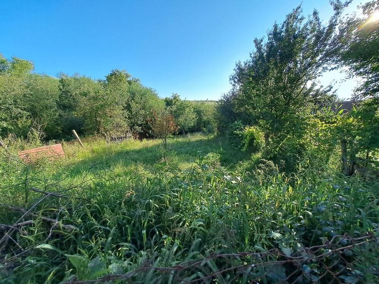 Casă individuală cu 3 camere cu Canalizare în Ruși