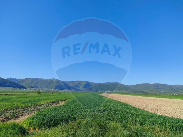 Teren agricol extravilan de 1724 mp, în Gura Râului