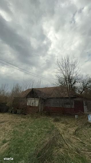 Casă cu 3 camere cu Teren 3500 Mp în Central
