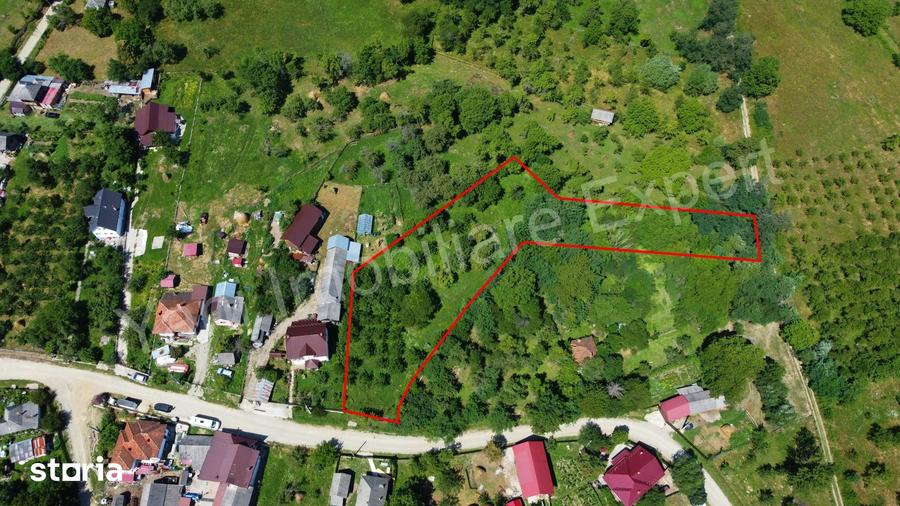 Teren de 3304 mp, în Bradu
