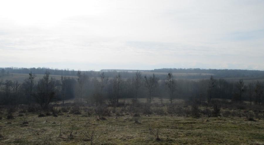 Teren agricol extravilan de 29200 mp, în Cincșor