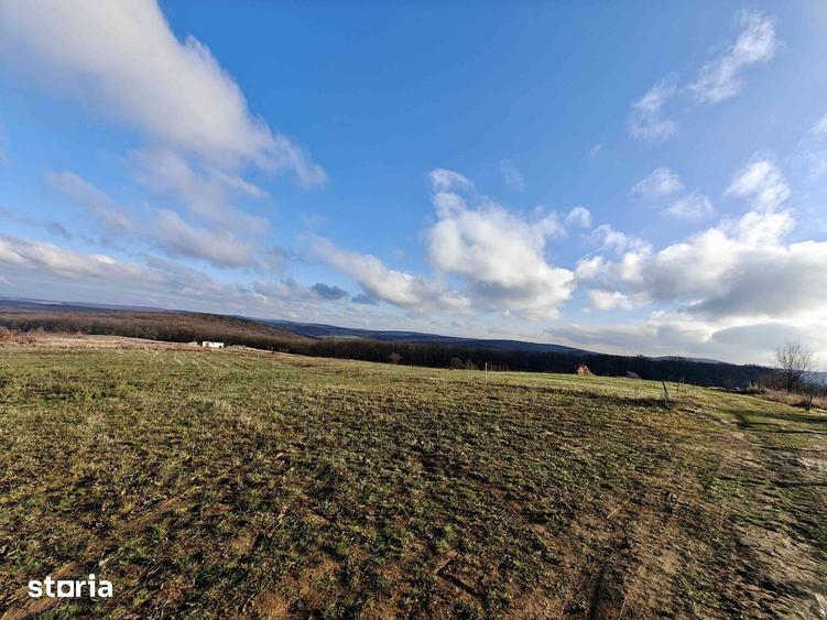 Teren de 3000 mp, în Nord