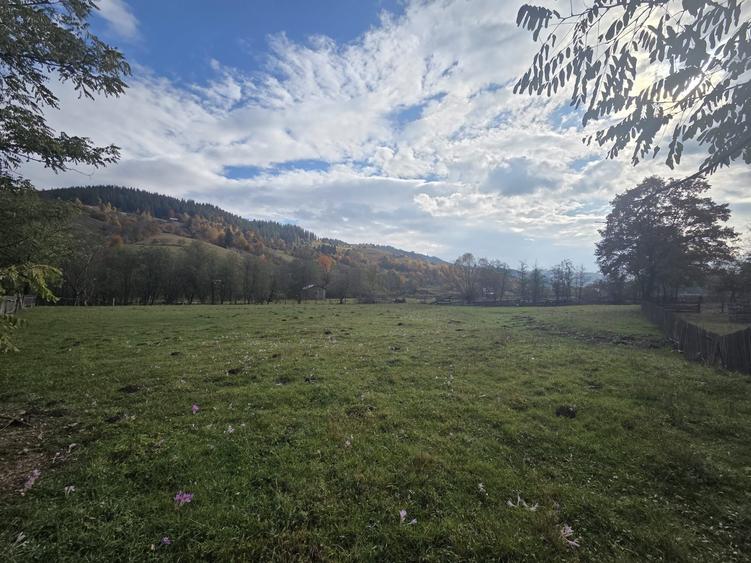 Teren de 2000 mp, în Stulpicani