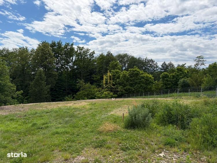 Teren intravilan in Patrauti zona centrala, liniste si natura - 3