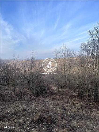 Teren de 2023 mp, în Pădurii
