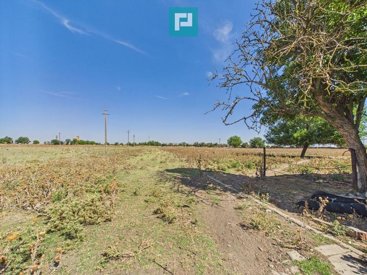 Teren Construcții intravilan de 146866 mp, în Periferie