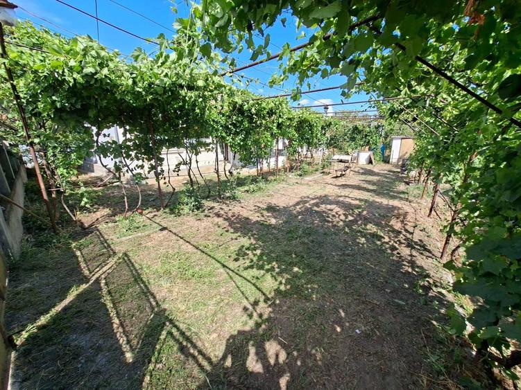Casă cu 3 camere în Rogova