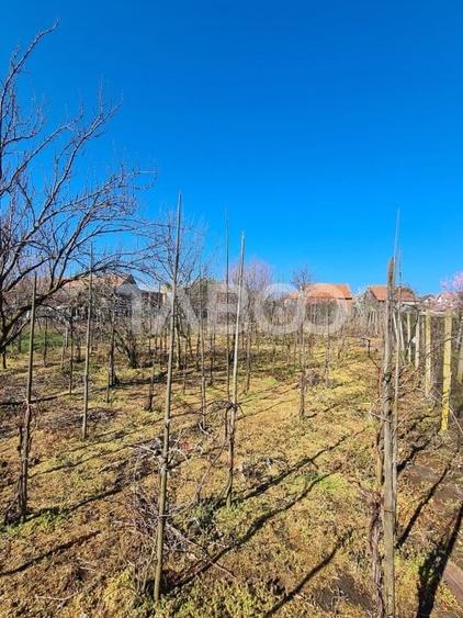 Casă individuală cu 5 camere cu Canalizare în Cut
