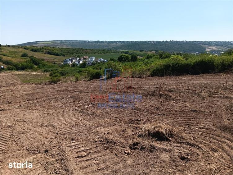 Teren de 10000 mp, în Aroneanu